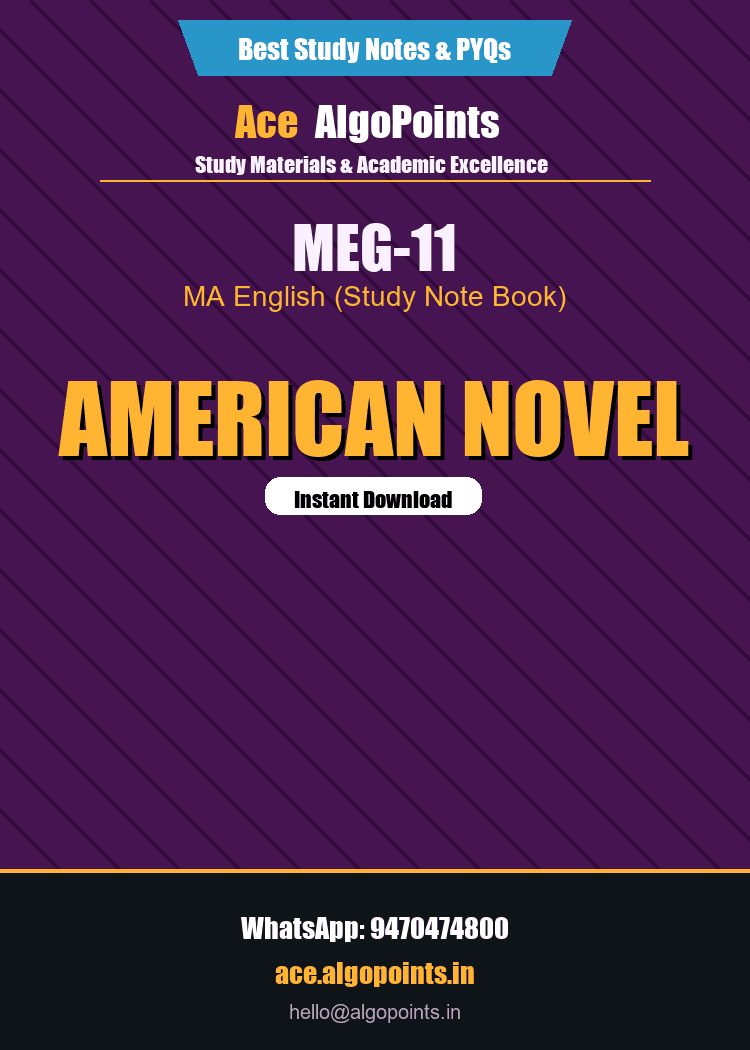 MEG-11 - American Novel
