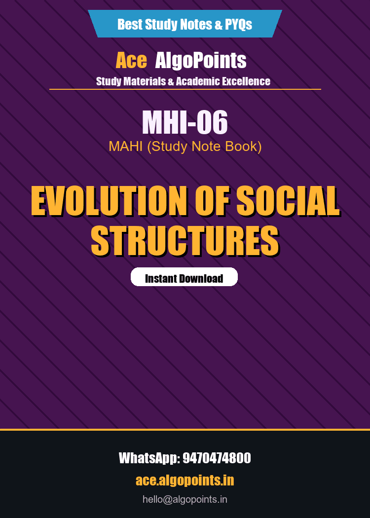 MHI-06 - Evolution of Social Structures
