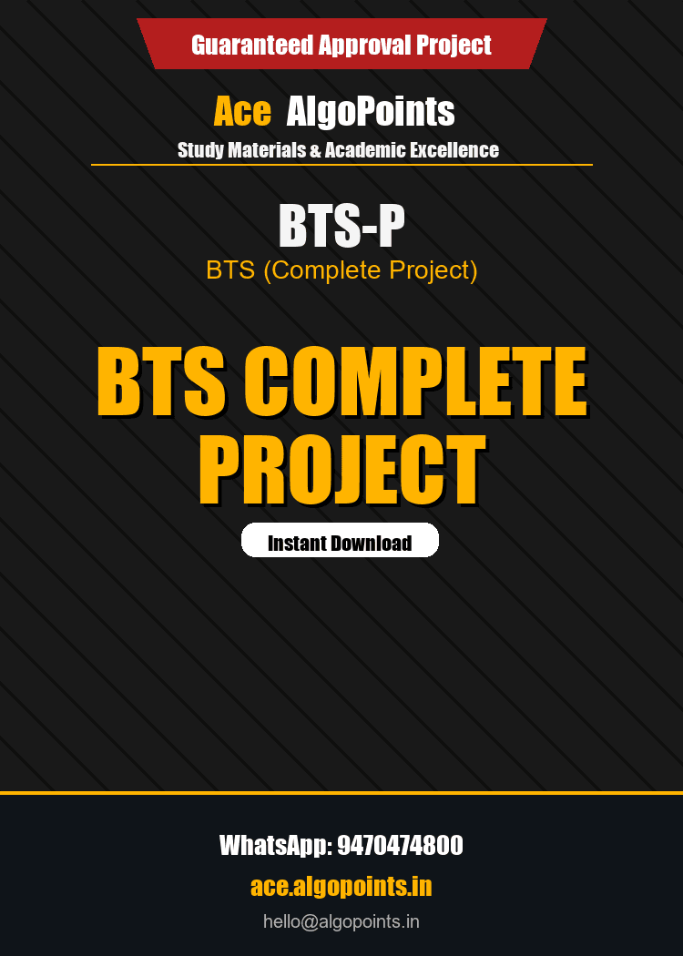 BTS-P - BTS Project Report